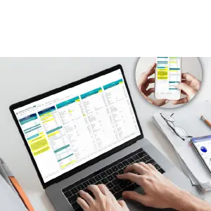 control de gastos en Excel