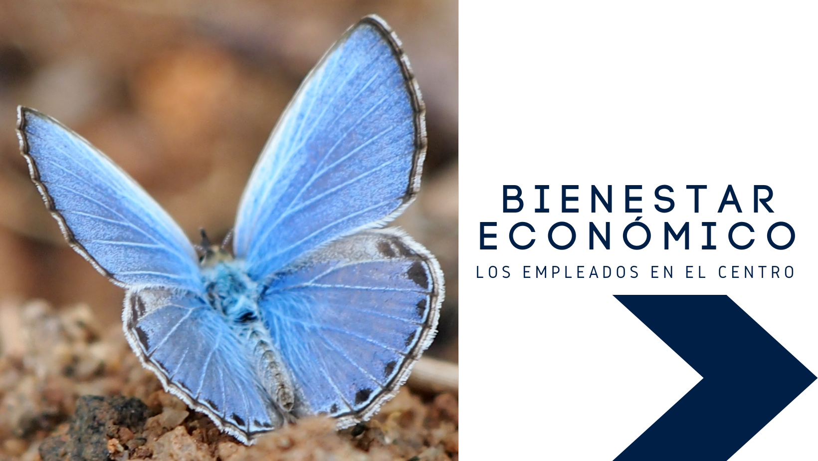 bienestar económico