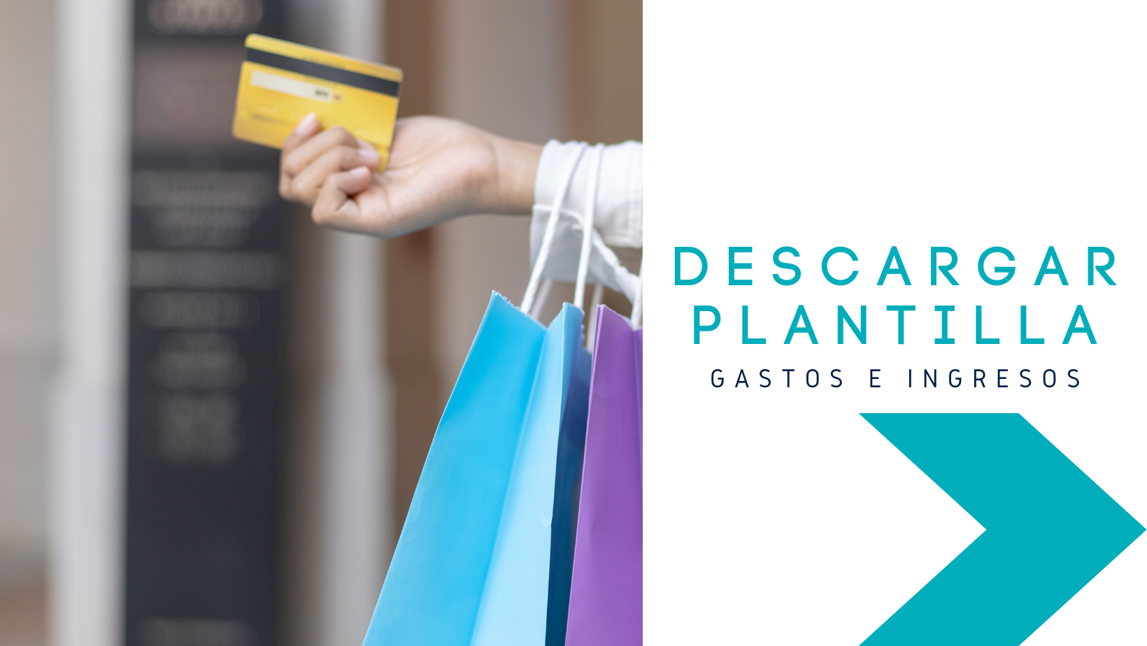 descargar plantilla gastos e ingresos
